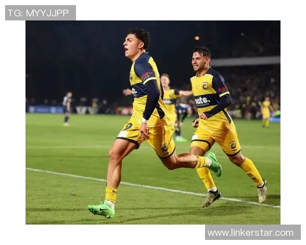 惠灵顿凤凰对阵中央海岸水手2019赛季精彩直播回顾与分析